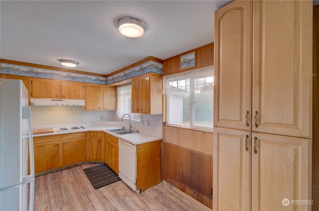 kitchen featuring white appliances, light hardwood / wood-style floors, and sink