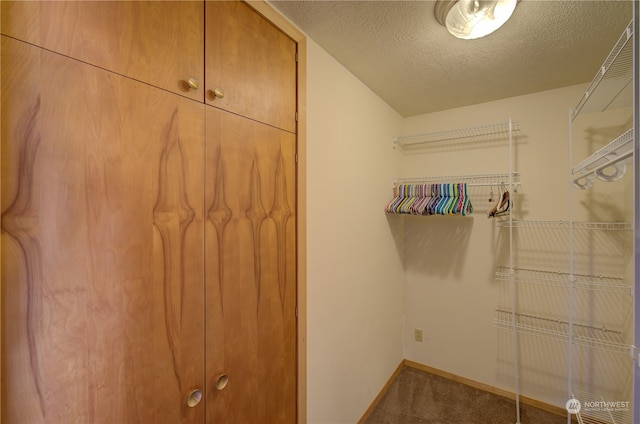 walk in closet with carpet floors