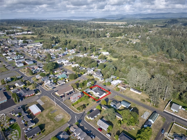 bird's eye view