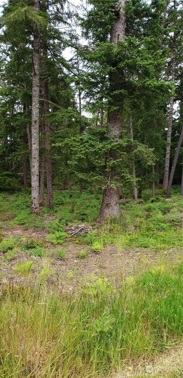 198XX 198th, Long Beach, WA 98631 - photo 3