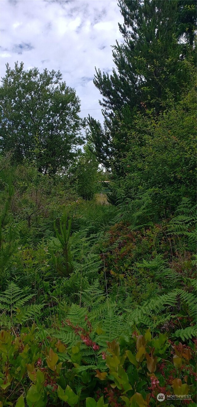 198XX 198th, Long Beach, WA 98631 - photo 6