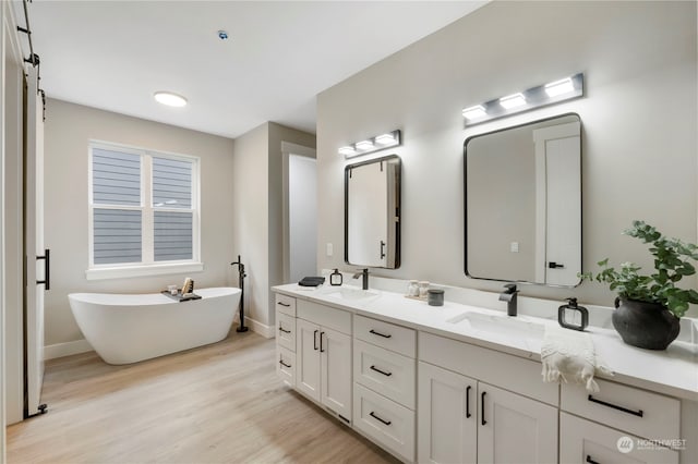 bathroom featuring vanity, a washtub, and hardwood / wood-style flooring