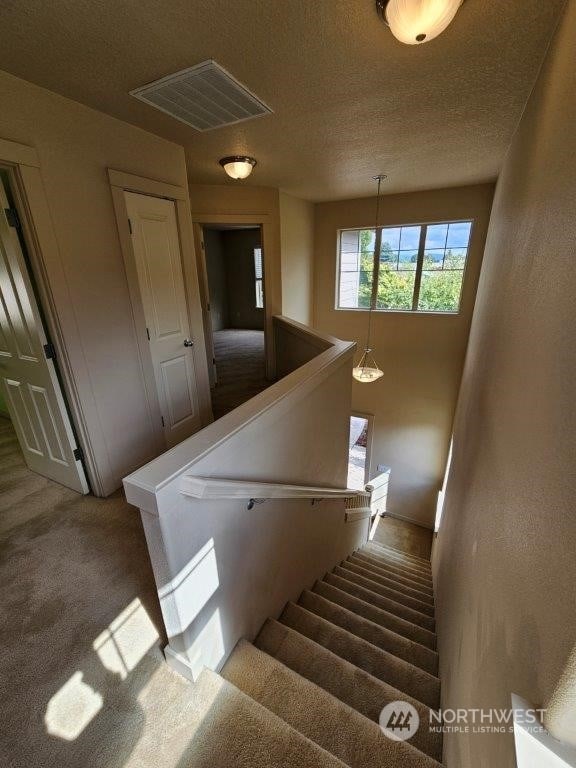 stairway featuring a textured ceiling and carpet