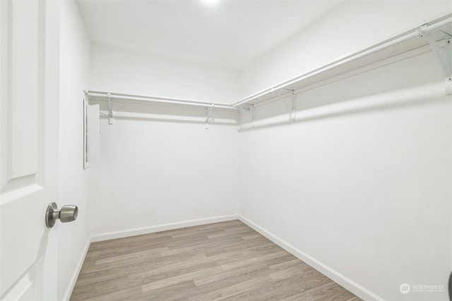 walk in closet featuring light wood-type flooring