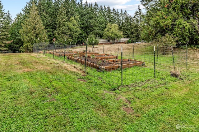 view of yard featuring a rural view