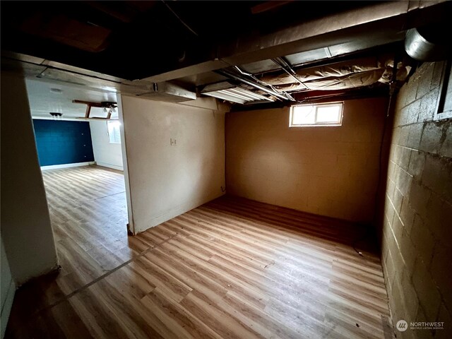 basement with hardwood / wood-style floors