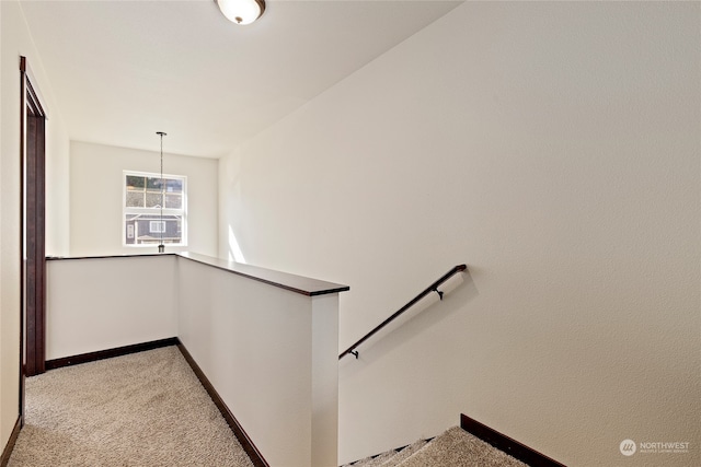 interior space featuring carpet flooring