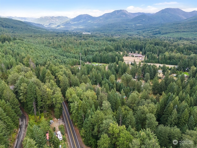 drone / aerial view with a mountain view