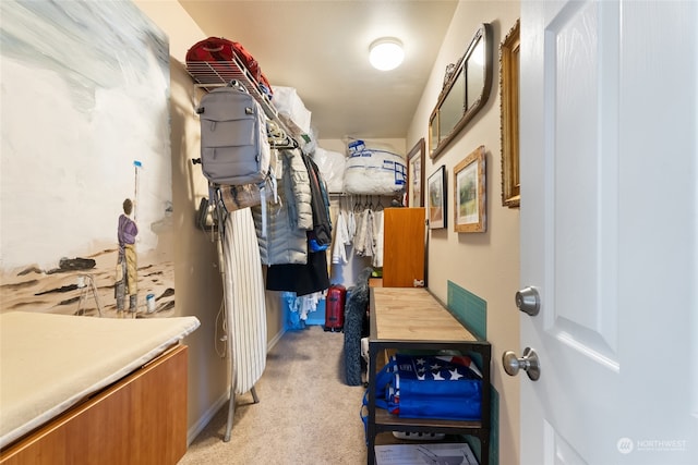 walk in closet with light carpet