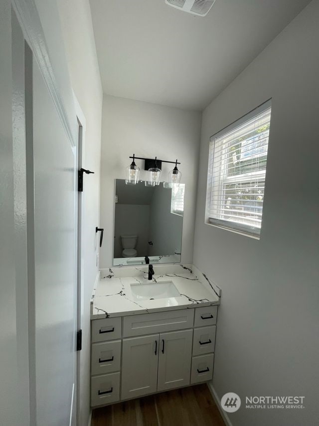 bathroom featuring vanity, toilet, and hardwood / wood-style floors