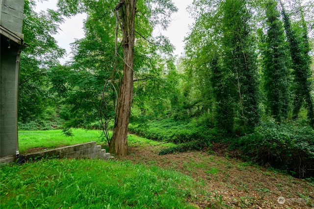 view of local wilderness