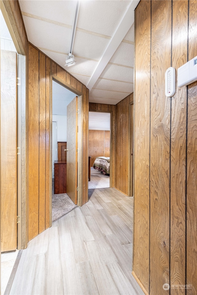 hallway featuring wooden walls and light hardwood / wood-style floors