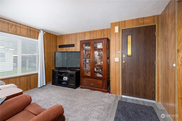 living room with light carpet, a textured ceiling, and wood walls