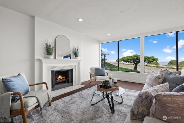 living area featuring a fireplace, plenty of natural light, wood finished floors, and recessed lighting