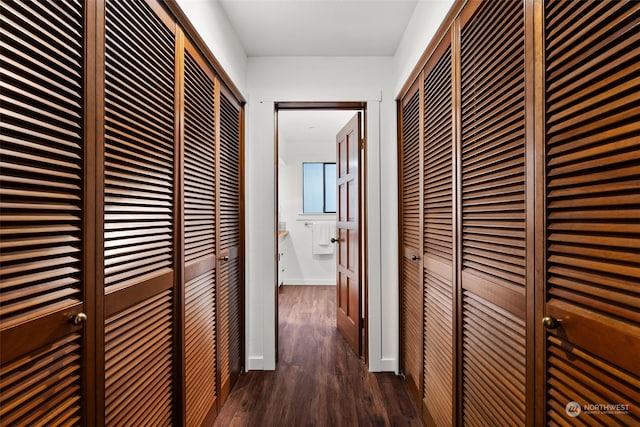 hall with dark wood-style flooring
