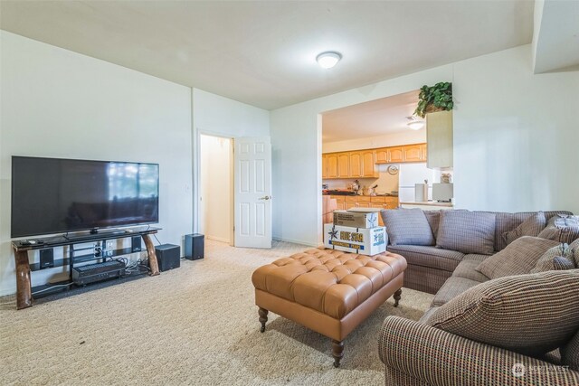 living room featuring light carpet