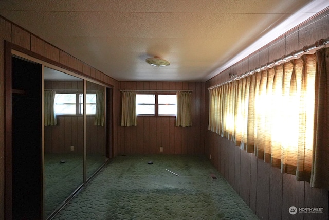 hallway with wood walls, carpet flooring, and a wealth of natural light