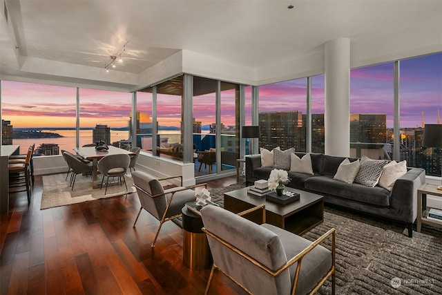 living room with a water view and dark hardwood / wood-style floors