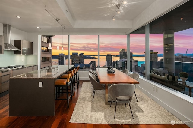 dining room featuring a water view, sink, and dark hardwood / wood-style flooring