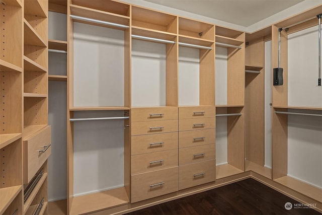 spacious closet featuring dark hardwood / wood-style flooring