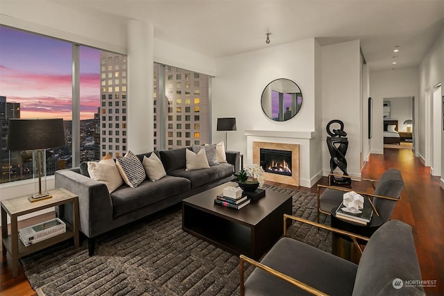 living room with dark hardwood / wood-style floors