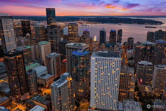 property's view of city with a water view