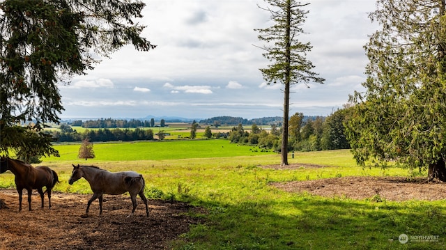 Listing photo 3 for 0 Union Rd, Sedro Woolley WA 98284