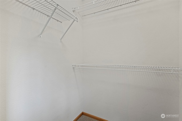 view of walk in closet