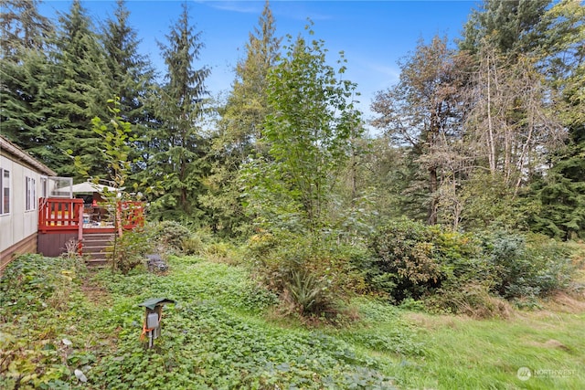 view of yard featuring a deck