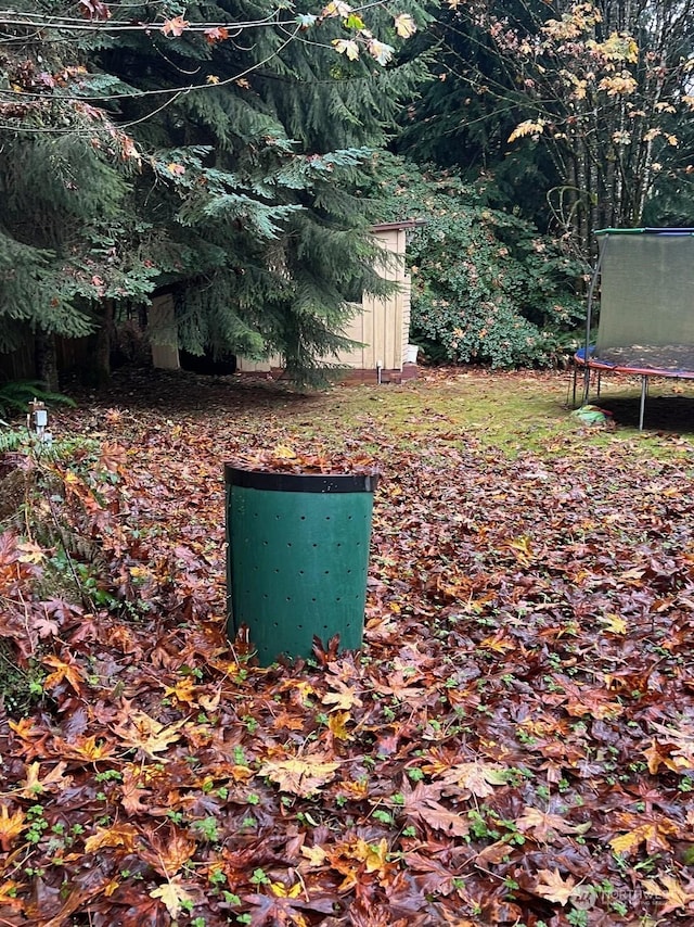 view of yard with an outbuilding, a shed, and a trampoline