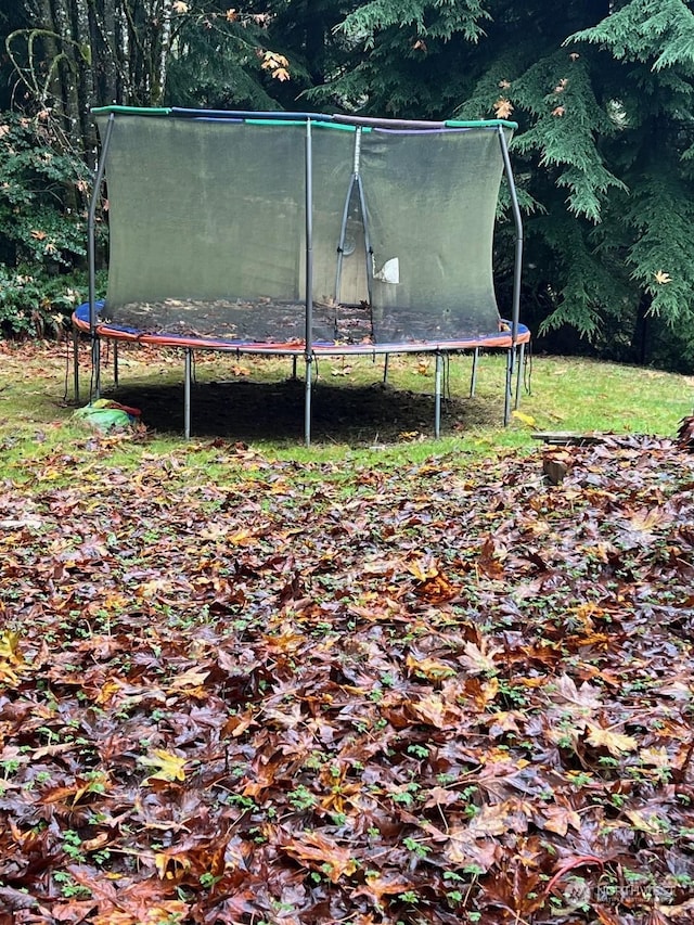 view of yard featuring a trampoline
