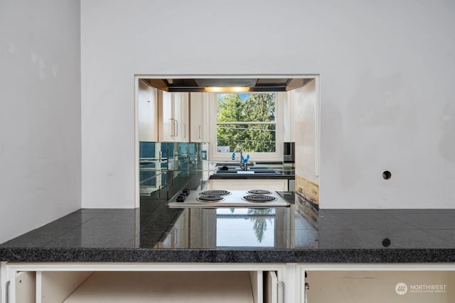 kitchen with ventilation hood, sink, and electric stovetop