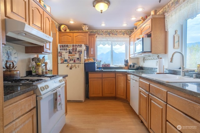 kitchen featuring white appliances, light hardwood / wood-style flooring, and sink