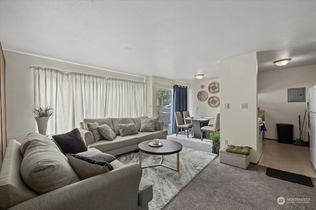 living room with a textured ceiling, electric panel, and carpet floors