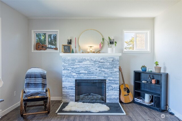 living room featuring hardwood / wood-style flooring and a fireplace