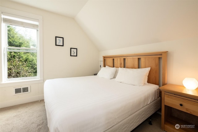 267 Compass St, Pacific Beach, WA 98571 - carpeted bedroom featuring lofted ceiling, multiple windows, and visible vents