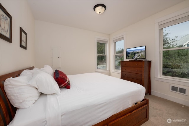 267 Compass St, Pacific Beach, WA 98571 - bedroom featuring visible vents, light colored carpet, and baseboards