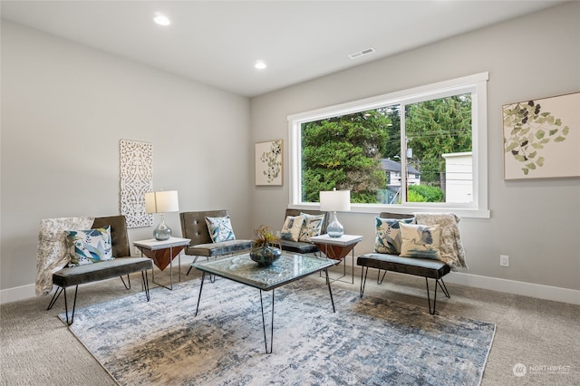 sitting room featuring carpet flooring