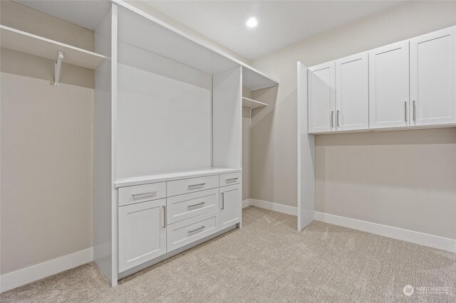 walk in closet with light colored carpet