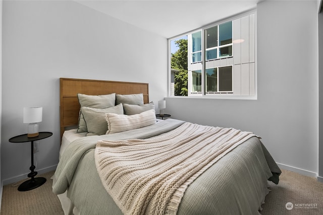 view of carpeted bedroom