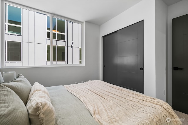 bedroom with multiple windows and a closet