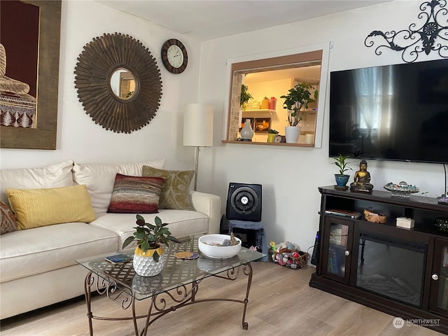 living room featuring light hardwood / wood-style flooring