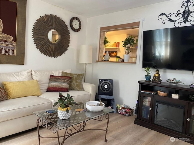 living area with wood finished floors