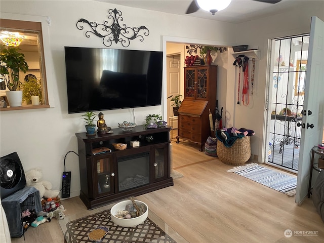 living room featuring wood-type flooring and ceiling fan