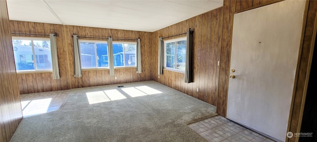 interior space featuring a healthy amount of sunlight and wood walls