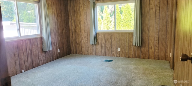 spare room featuring plenty of natural light, carpet floors, and wood walls