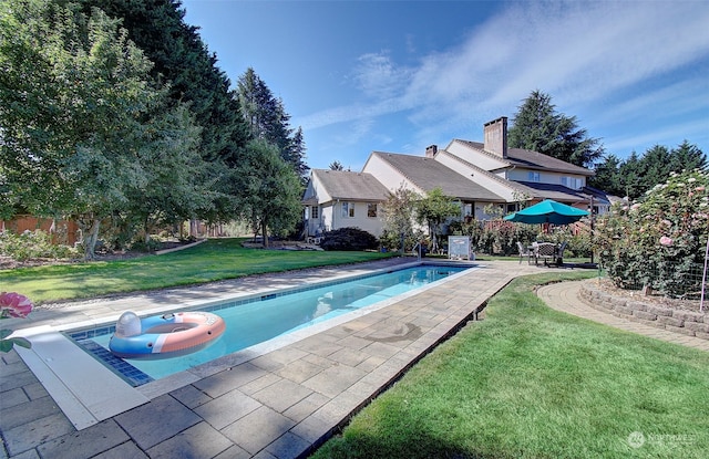 view of swimming pool with a patio and a yard