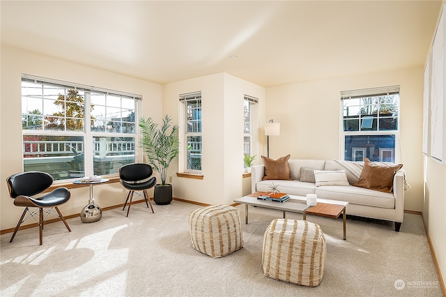 sitting room featuring carpet flooring