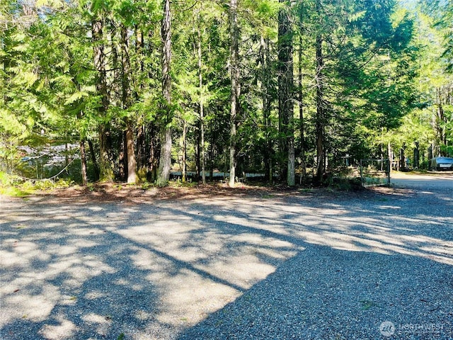 351 N Mount Jupiter Dr, Hoodsport, WA 98548 - photo 37