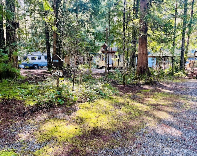 351 N Mount Jupiter Dr, Hoodsport, WA 98548 - photo 38